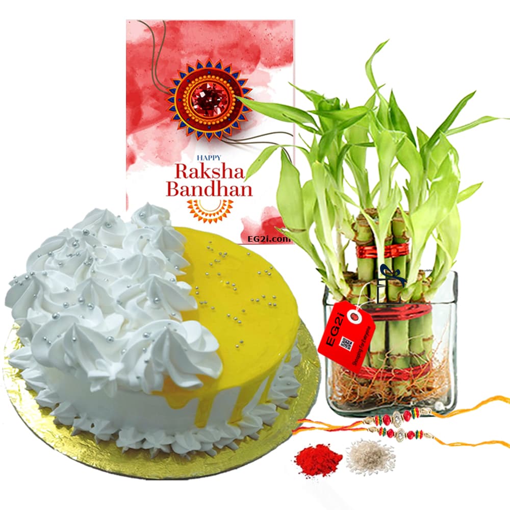 Pineapple Cake with Good Luck Plant with Rakhi